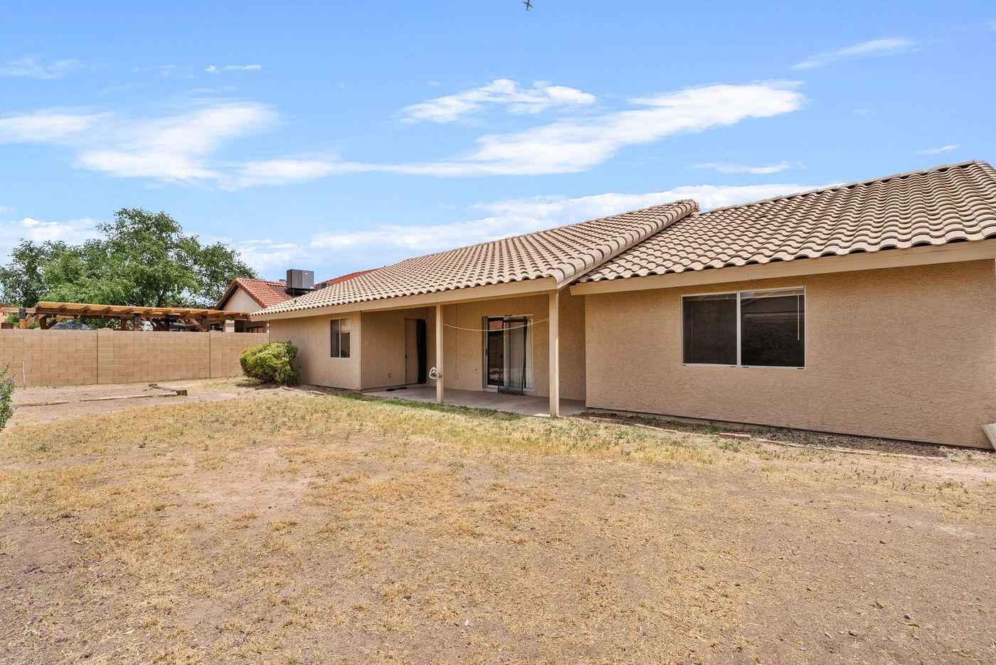 Backyard with dead grass and bare dirt before renovation